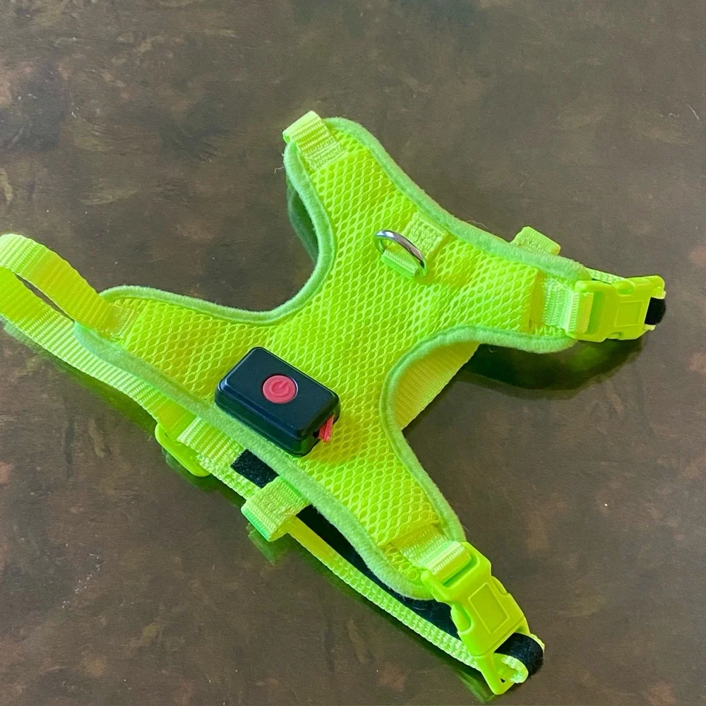 BSEEN Comfort Control Light-Up Dog Harness - Small